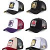 PKM Pokemon Mutzen & Caps | Pokemon Sommer Baseball Caps In Verschiedenen Motiven